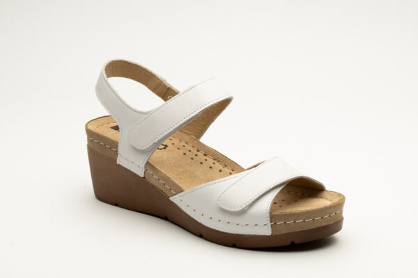 Lifestyle - Sofia II - BELA