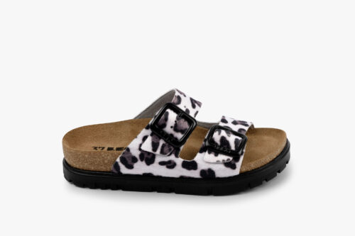 Lifestyle - Terra - BELA