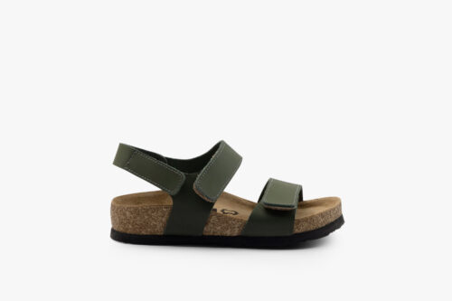 4813 Zelena bakkar2